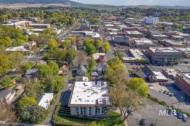 122 N Washington, Moscow, ID 83843 - bird's eye view with a mountain view