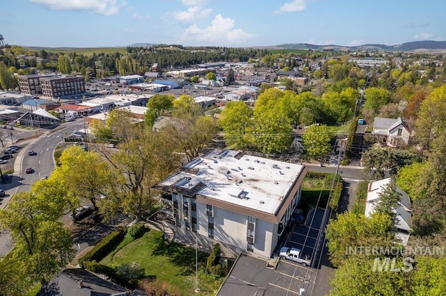 122 N Washington, Moscow, ID 83843 - bird's eye view with a mountain view