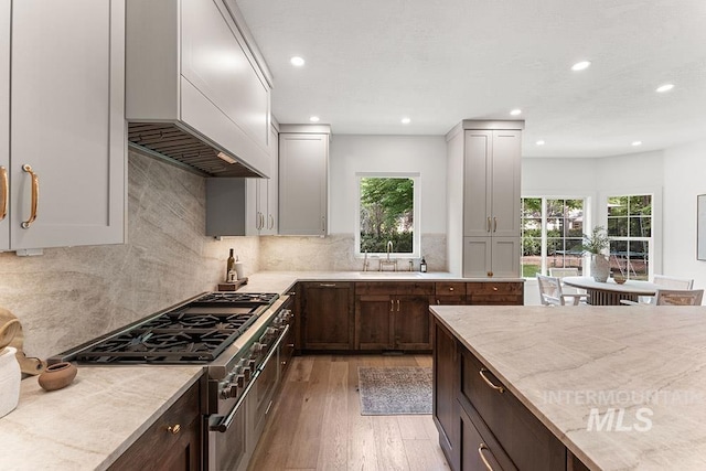 kitchen with healthy amount of natural light, high end range, light wood-style floors, recessed lighting, and a sink