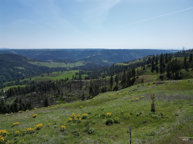 444 Vista View Dr, Lenore, ID 83541