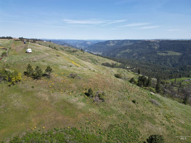 444 Vista View Dr, Lenore, ID 83541
