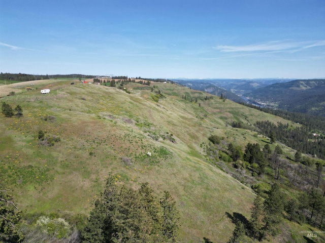 444 Vista View Dr, Lenore, ID 83541