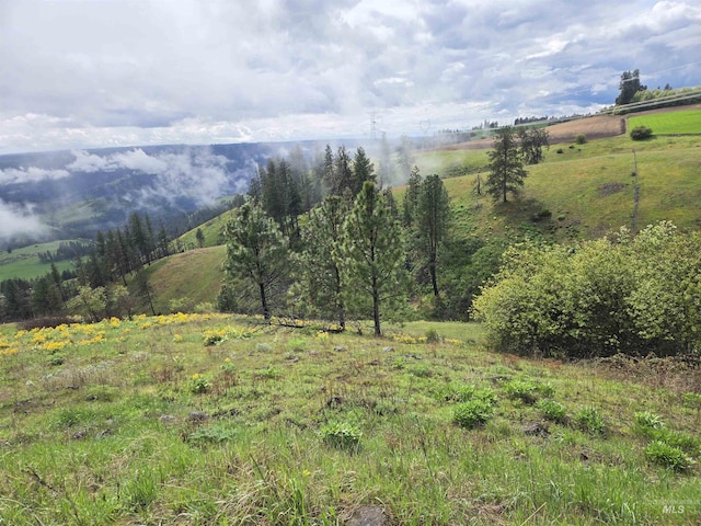 444 Vista View Dr, Lenore, ID 83541