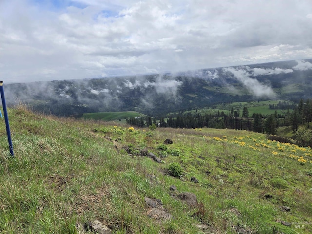 444 Vista View Dr, Lenore, ID 83541
