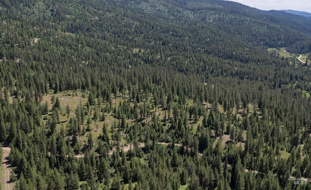 TBD33 Clear Creek Rd, Cascade ID, 83611 land for sale