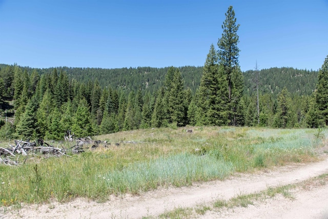 Listing photo 2 for TBD33 Clear Creek Rd, Cascade ID 83611