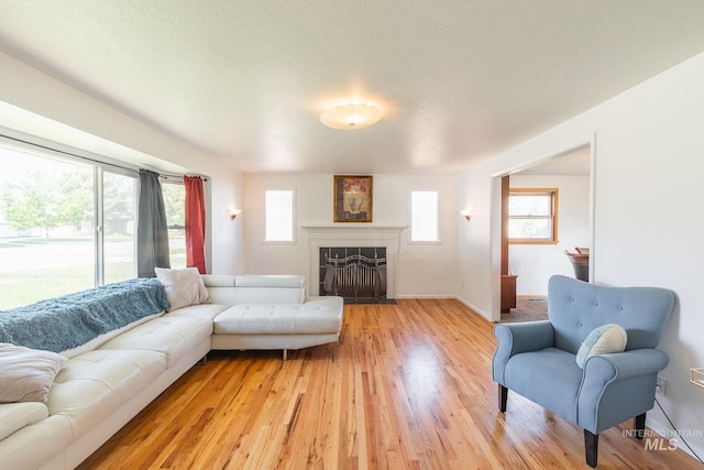 living room featuring light hardwood / wood-style floors and a wealth of natural light