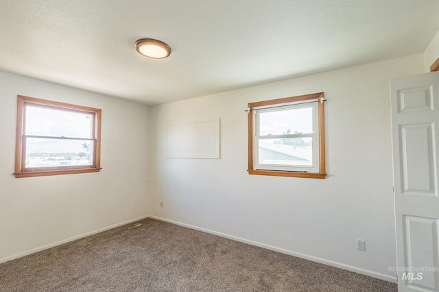 carpeted spare room with a wealth of natural light