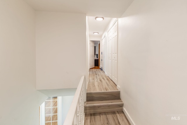 staircase with wood-type flooring