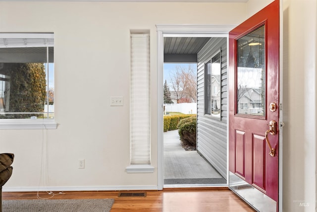 entryway with wood-type flooring and a wealth of natural light