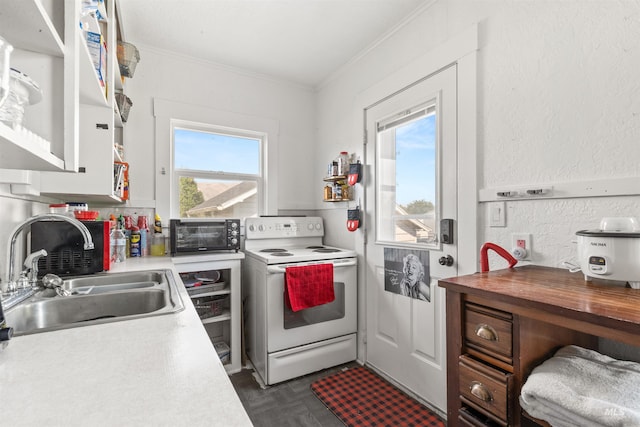 1035 Francis St, Clarkston, WA 99403 - kitchen with white range with electric cooktop, ornamental molding, healthy amount of natural light, and a textured wall