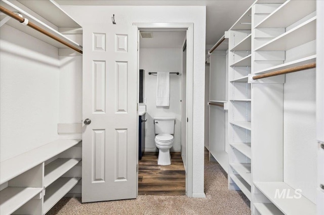1909 E Roanoke Dr, Boise, ID 83712 - view of walk in closet