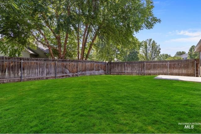 view of yard with a fenced backyard