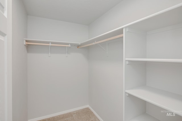 spacious closet with carpet flooring