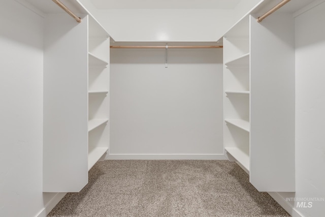 6847 W Riverwood St, Boise, ID 83709 - spacious closet featuring carpet