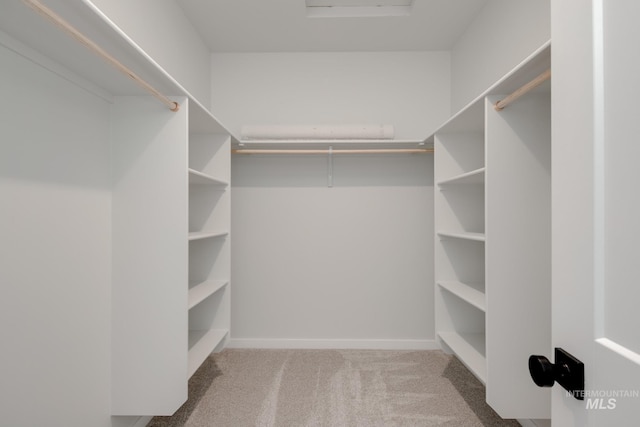 6847 W Riverwood St, Boise, ID 83709 - walk in closet with carpet flooring