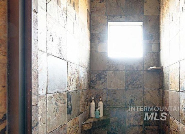 1878 W Sheep Hill Ct, Meridian, ID 83646 - bathroom view of tiled shower