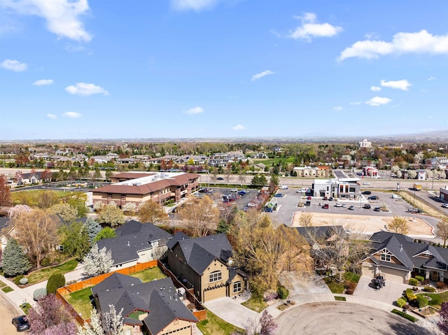 1878 W Sheep Hill Ct, Meridian, ID 83646 - aerial view of residential area