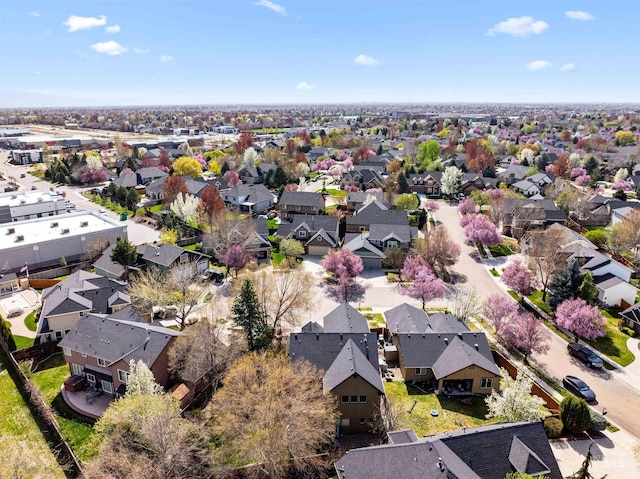 1878 W Sheep Hill Ct, Meridian, ID 83646 - aerial view of residential area