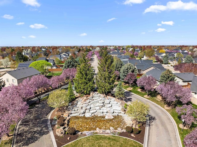 1878 W Sheep Hill Ct, Meridian, ID 83646 - aerial perspective of suburban area
