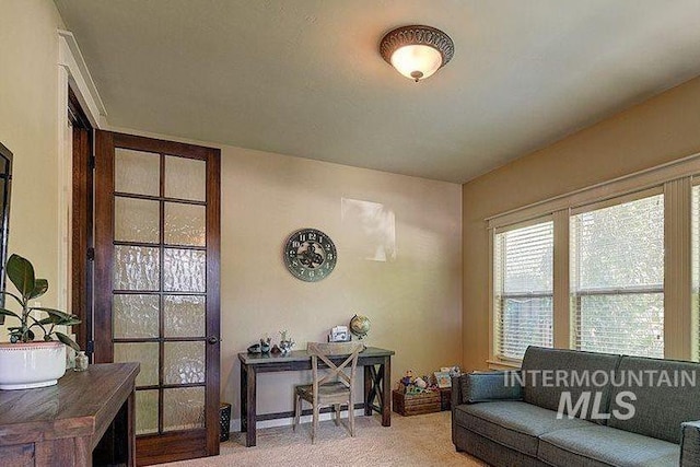 1878 W Sheep Hill Ct, Meridian, ID 83646 - view of carpeted office space