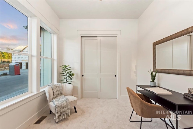 office area with carpet, plenty of natural light, and baseboards