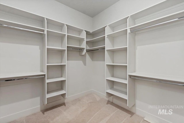 walk in closet with carpet flooring