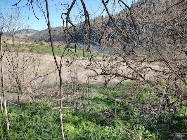 view of nature with a mountain view