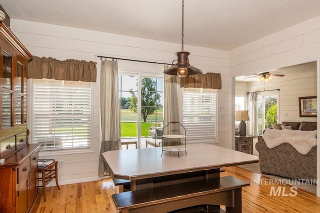8344 Partridge Dr, Nampa, ID 83686 - dining space featuring light wood-type flooring, plenty of natural light, and wooden walls