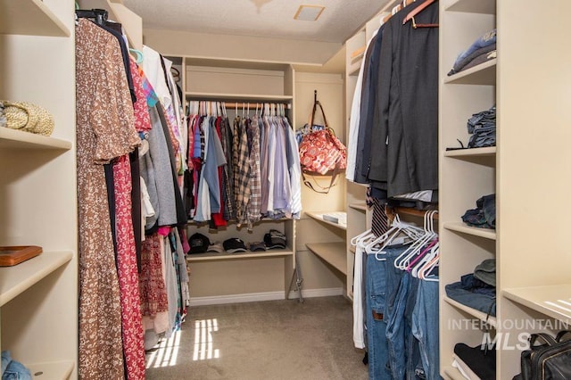 8344 Partridge Dr, Nampa, ID 83686 - spacious closet featuring carpet