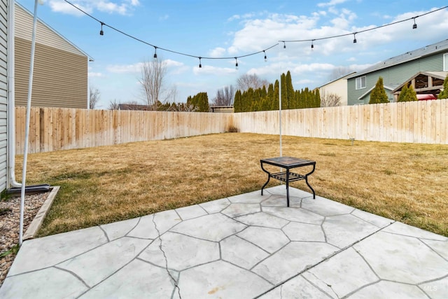 view of yard featuring a patio area and a fenced backyard