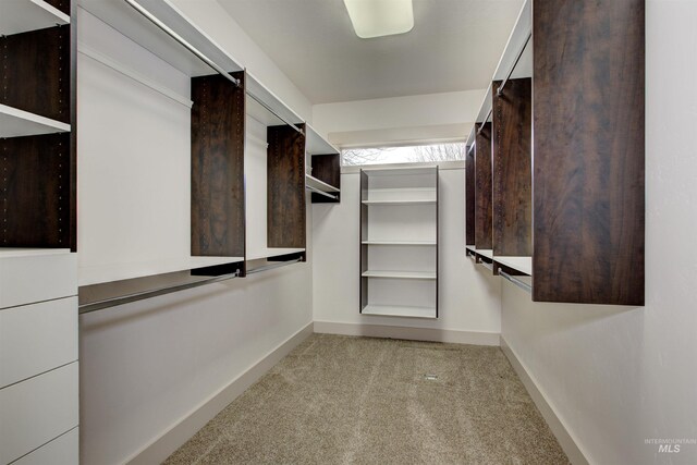 spacious closet with light colored carpet