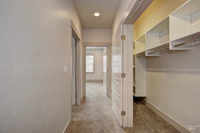 corridor featuring carpet flooring