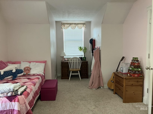 11565 W Zachery Ave, Nampa, ID 83651 - view of carpeted bedroom