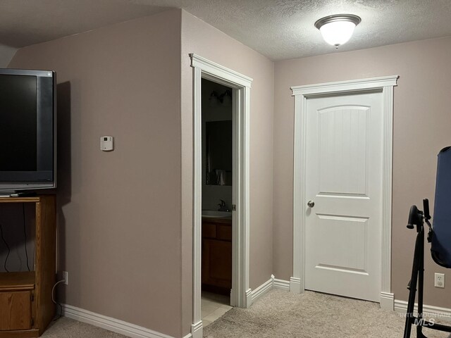 11565 W Zachery Ave, Nampa, ID 83651 - exercise room featuring a sink, light colored carpet, baseboards, and a textured ceiling