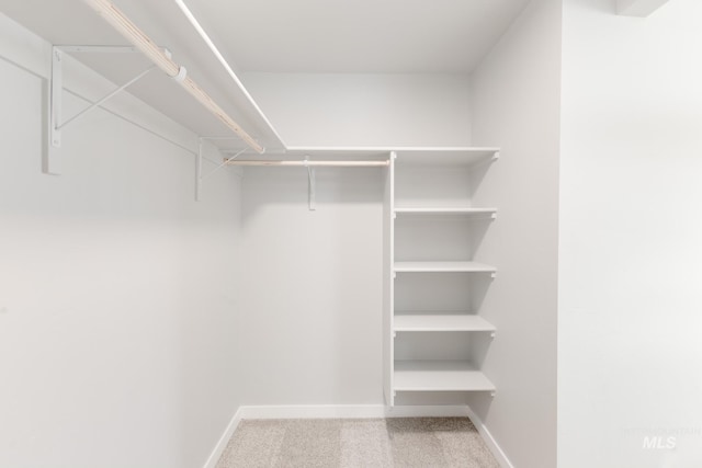 2351 W Opalite Dr, Kuna, ID 83634 - walk in closet with carpet flooring