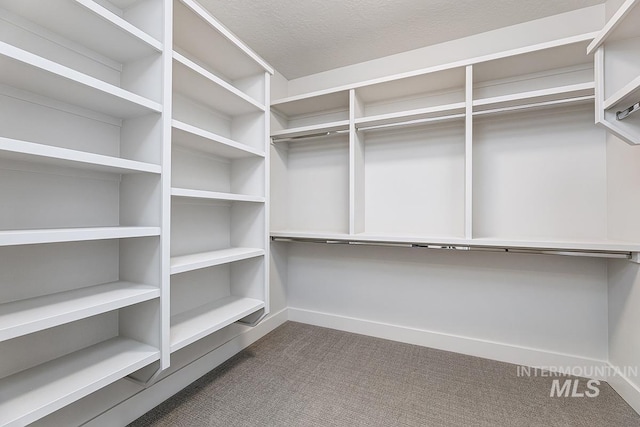 7029 S Tindaris Ave, Meridian, ID 83642 - walk in closet featuring dark carpet