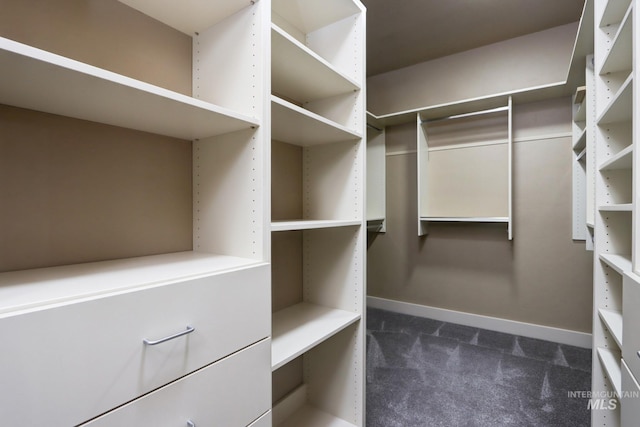 570 E Ocelot, Meridian, ID 83646 - spacious closet with dark colored carpet