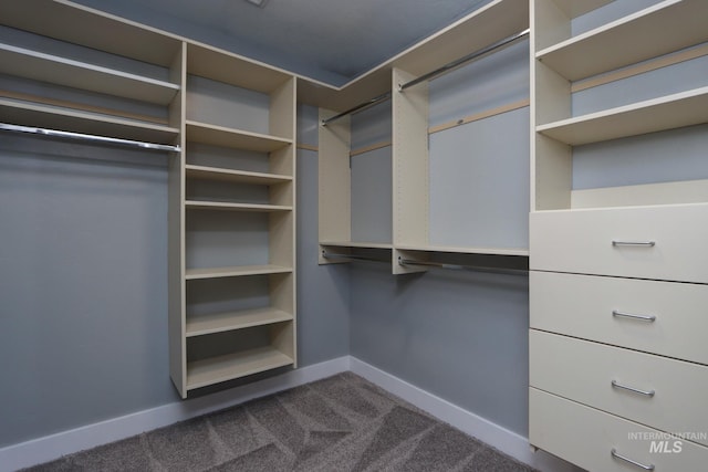 570 E Ocelot, Meridian, ID 83646 - spacious closet featuring dark carpet