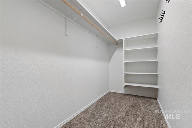 spacious closet with carpet floors