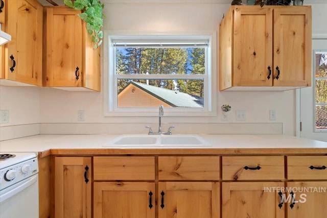 104 Sky Ridge Dr, Garden Valley, ID 83622 - kitchen featuring a sink, plenty of natural light, electric range, and light countertops