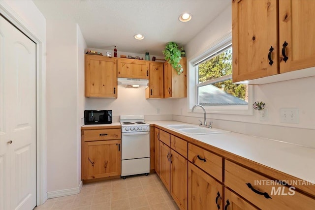 104 Sky Ridge Dr, Garden Valley, ID 83622 - kitchen featuring white electric stove, a sink, black microwave, light countertops, and under cabinet range hood
