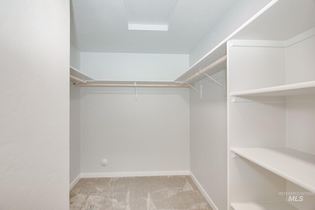 7417 E Shields Dr, Nampa, ID 83687 - spacious closet with carpet