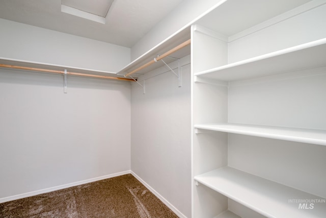 7417 E Shields Dr, Nampa, ID 83687 - walk in closet with carpet floors