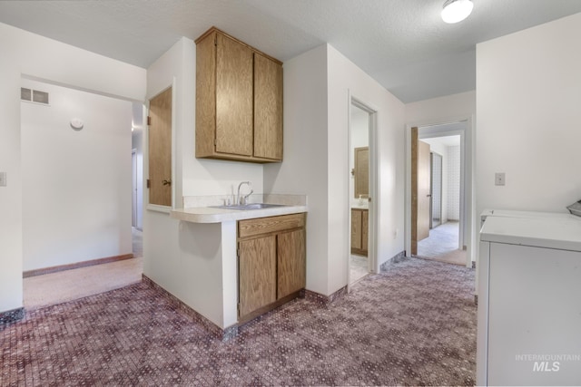 569 Spring Creek Rd, Burley, ID 83318 - kitchen featuring washer / dryer, carpet, a sink, and light countertops
