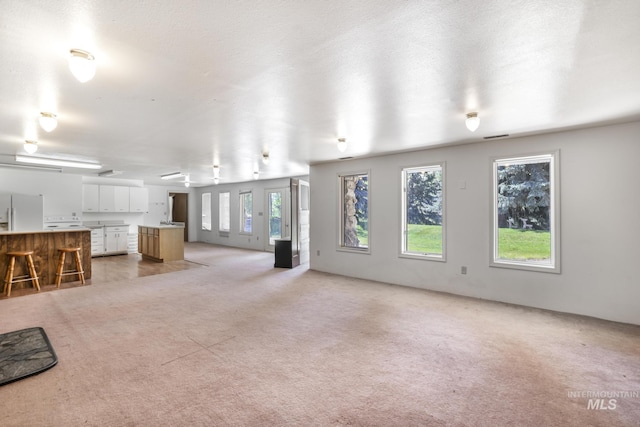 569 Spring Creek Rd, Burley, ID 83318 - unfurnished living room with light carpet