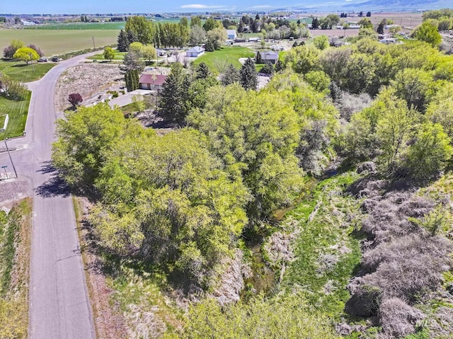 569 Spring Creek Rd, Burley, ID 83318 - aerial view