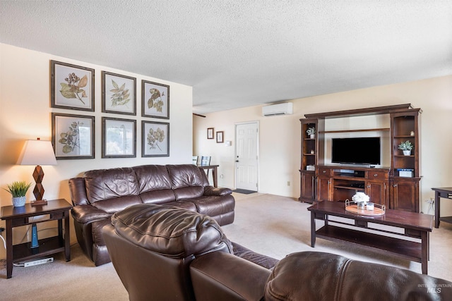 230 Sage St, Kimberly, ID 83341 - carpeted living area with a wall unit AC and a textured ceiling