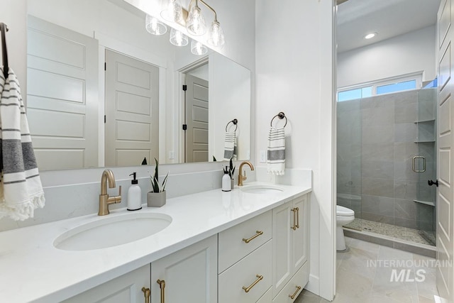 full bathroom featuring a sink, a shower stall, toilet, and double vanity