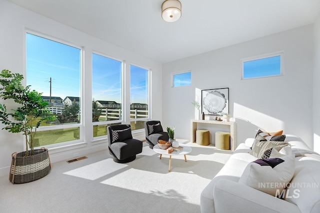 interior space featuring carpet and visible vents